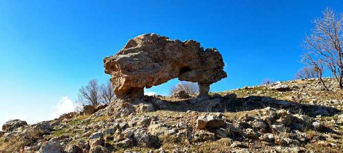 Как сделать физическую активность естественной частью рутины