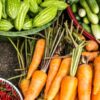 Акция Здоровый образ жизни: выбор сильных!